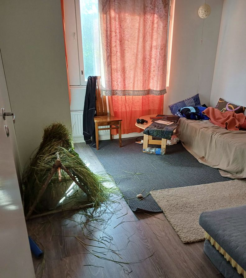 Image 2/16