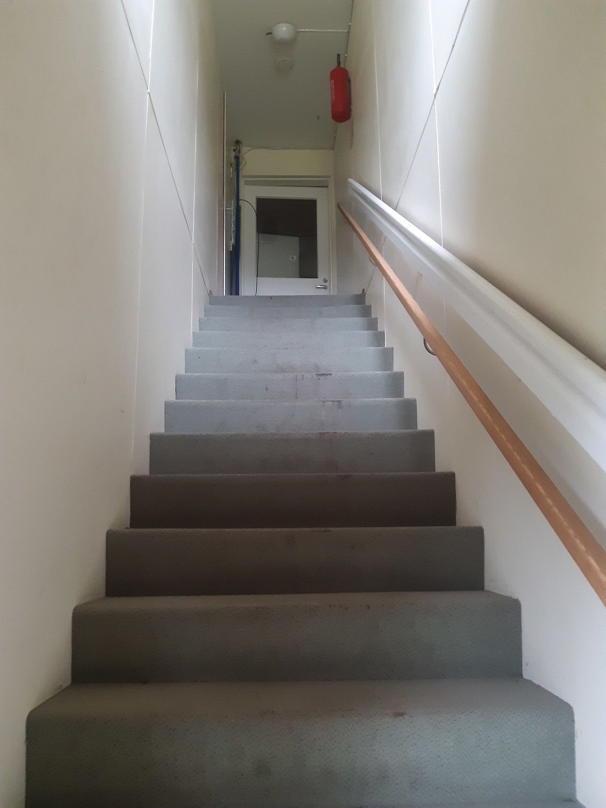 Image 41/50
