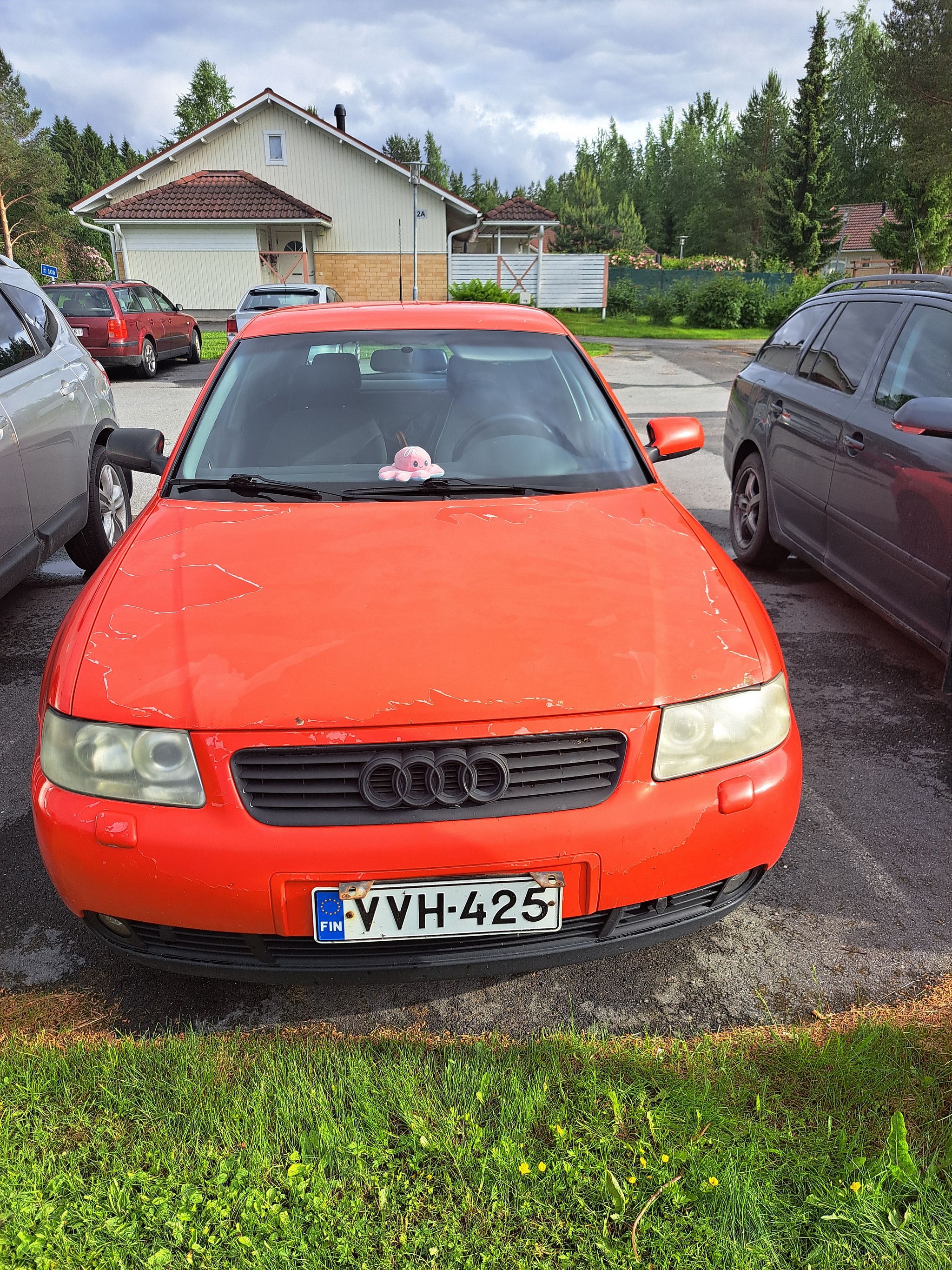 Image 1/12