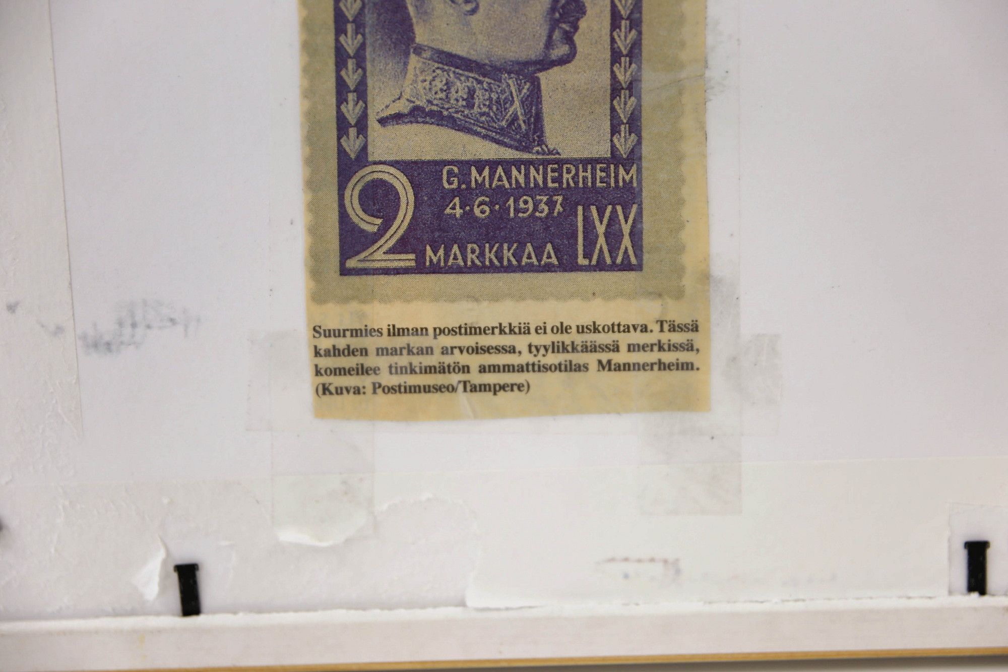 Image 11/13