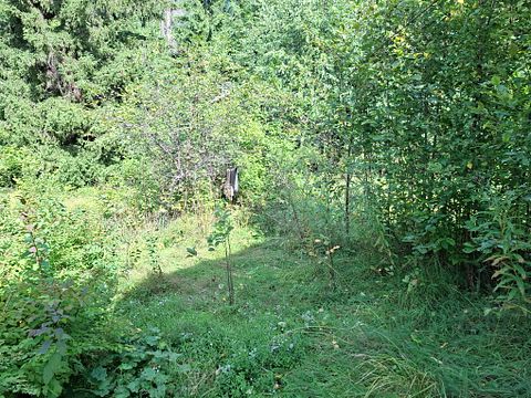 Image 142/142