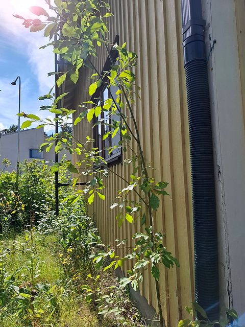 Image 115/142