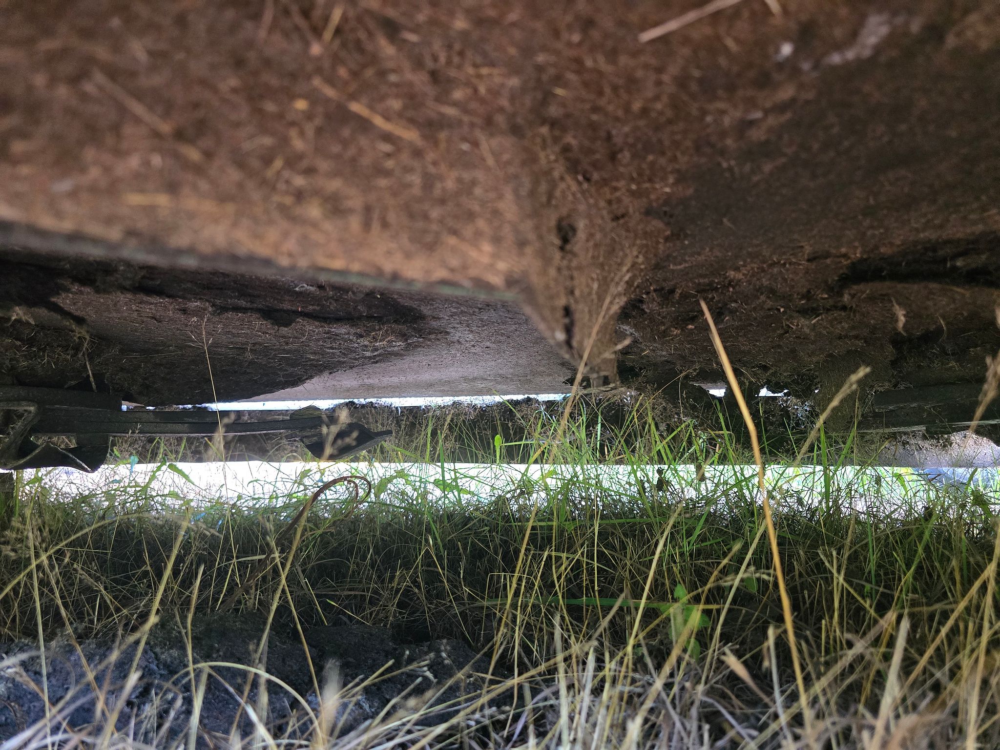 Image 8/8