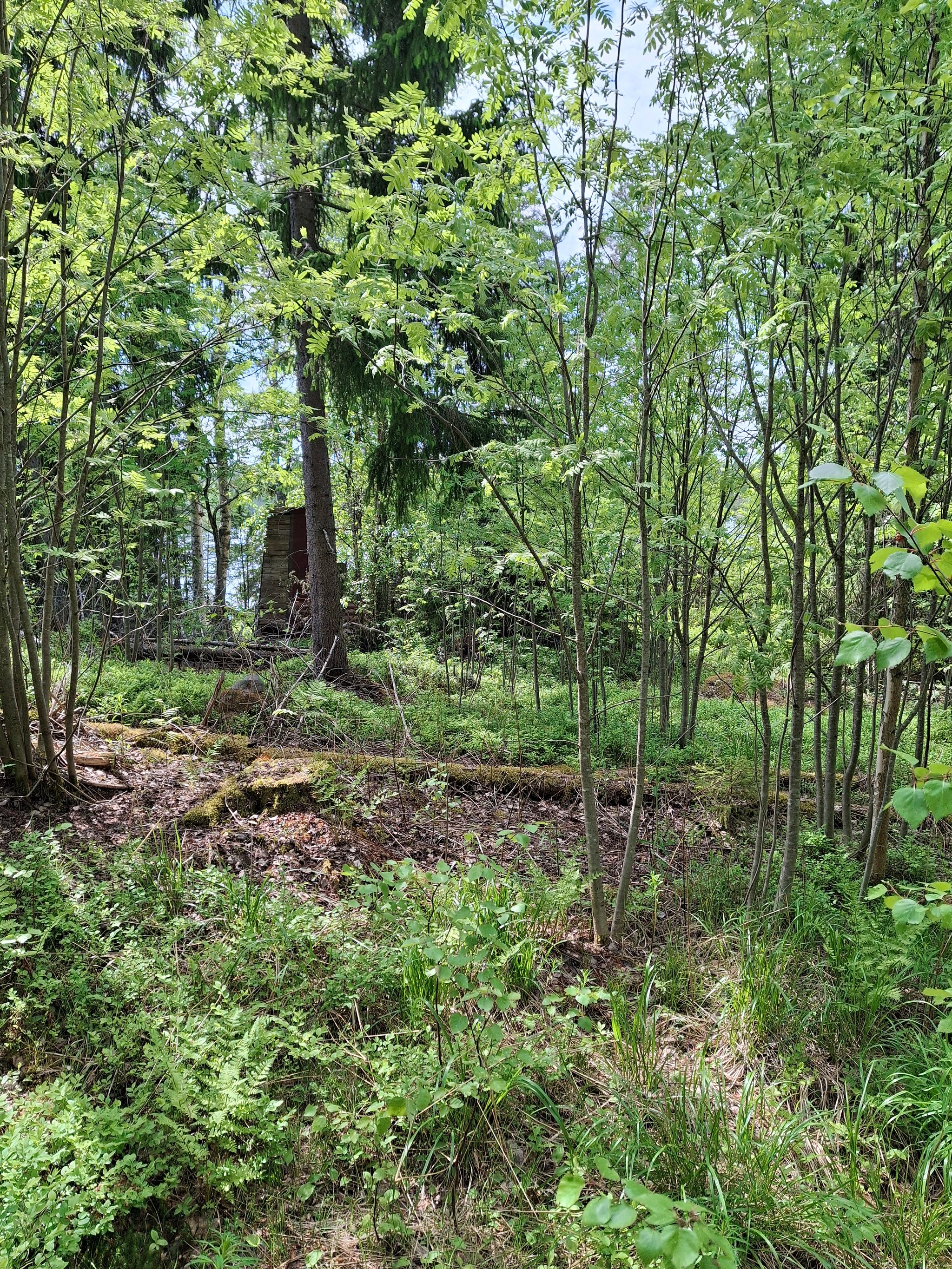 Image 15/17