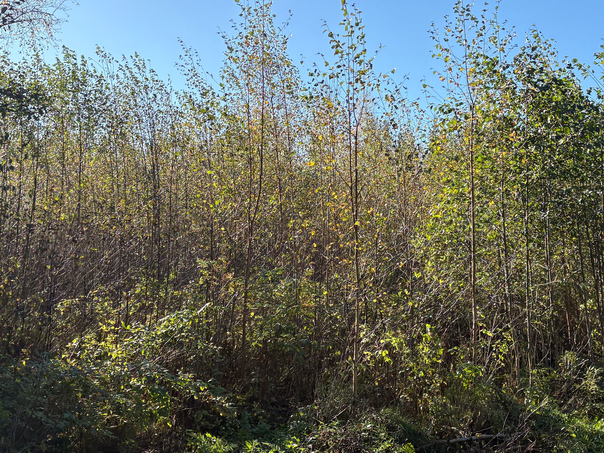 Image 9/30