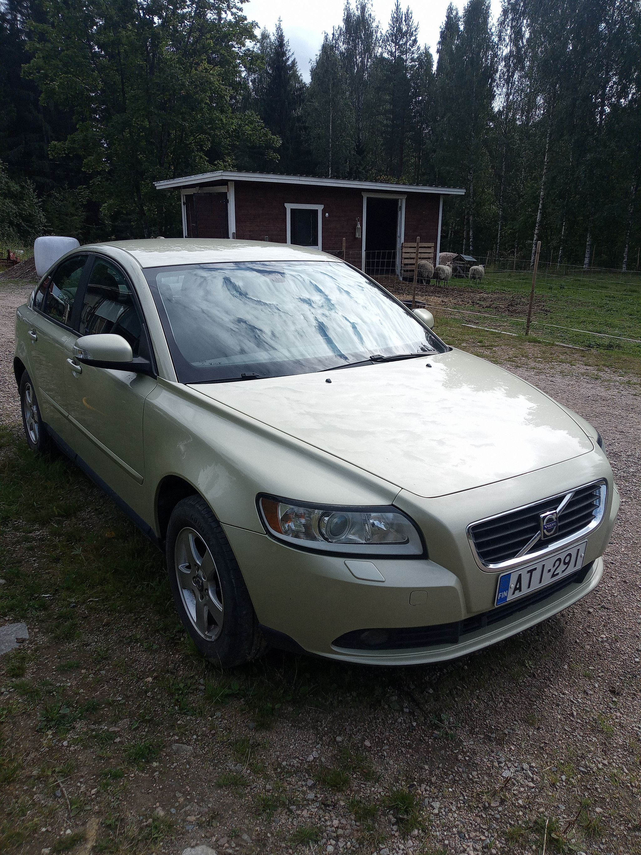 Image 3/12