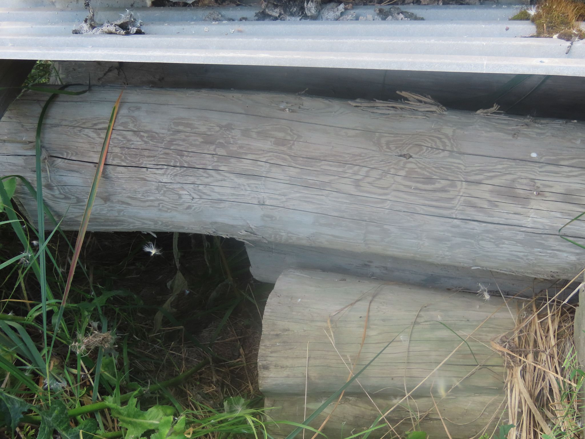 Image 4/7