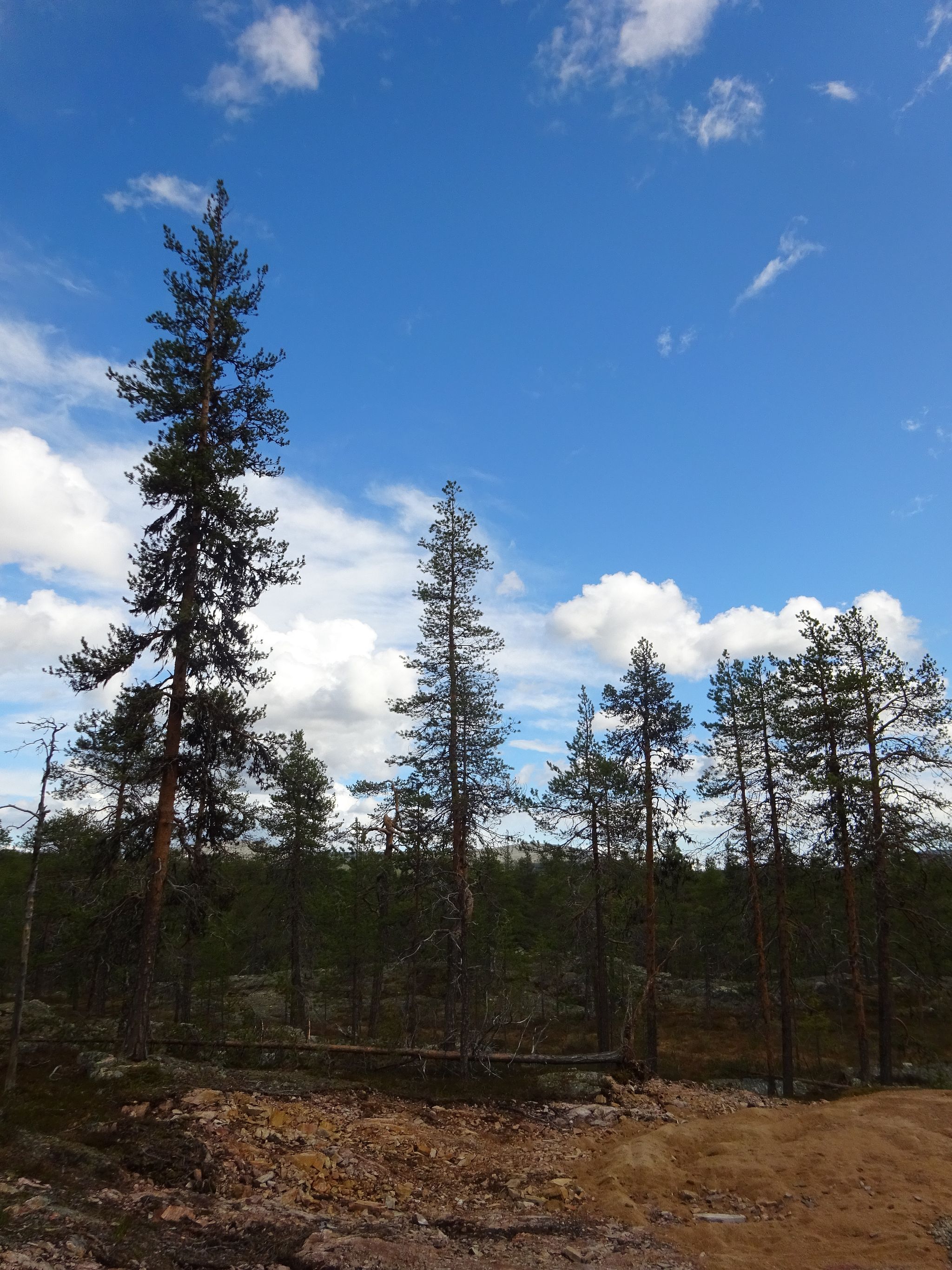 Image 14/17