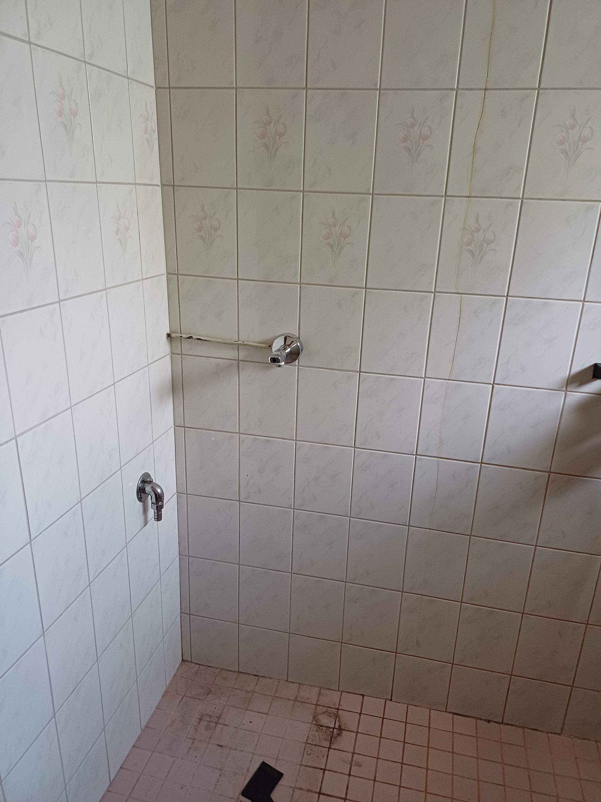 Image 41/53
