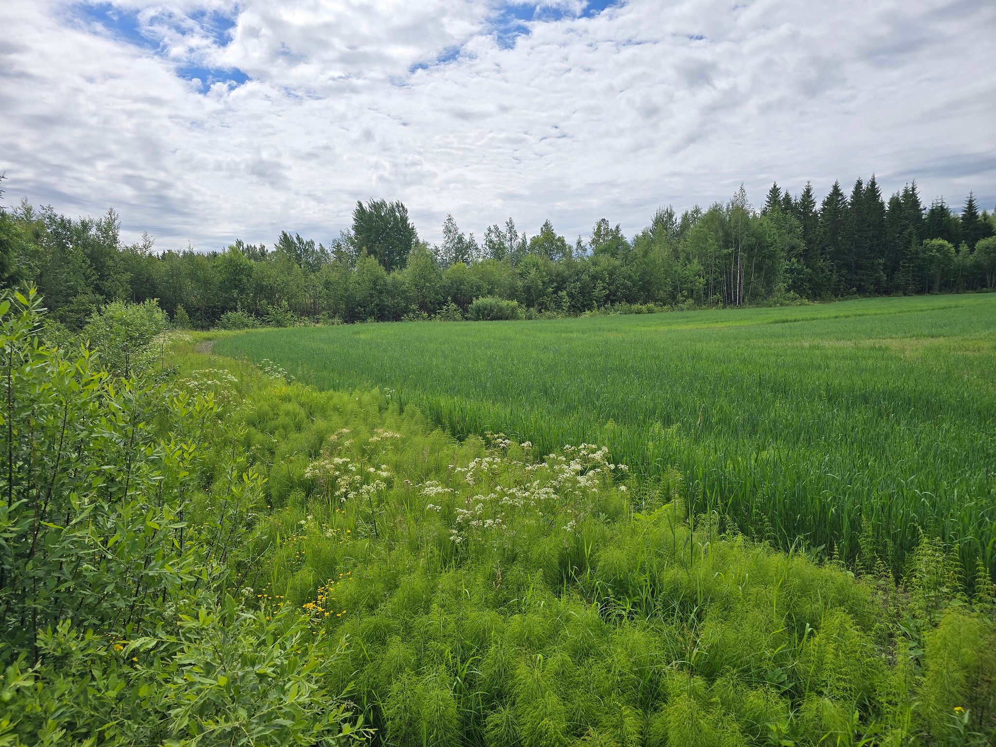 Image 10/20