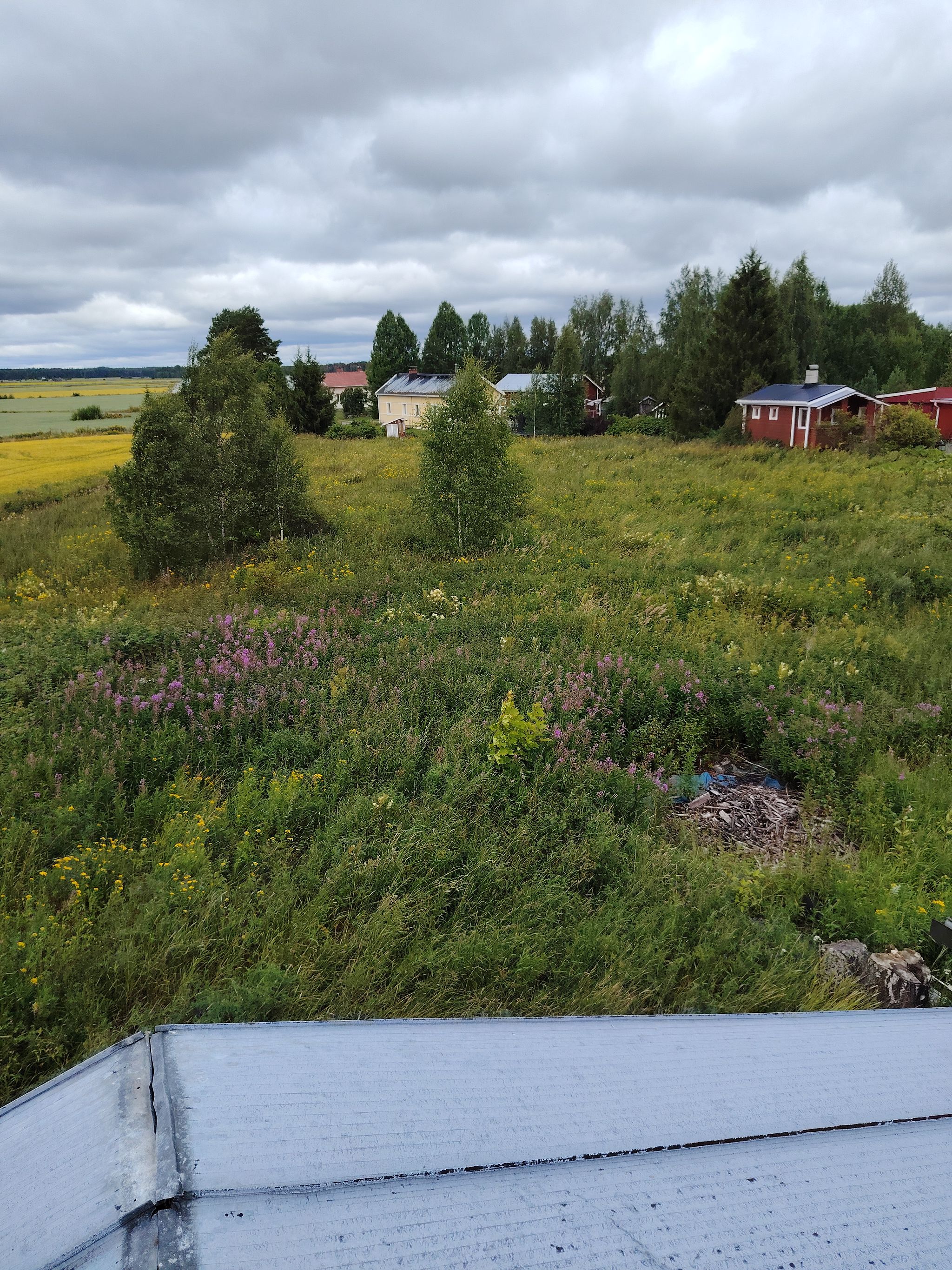 Image 16/61