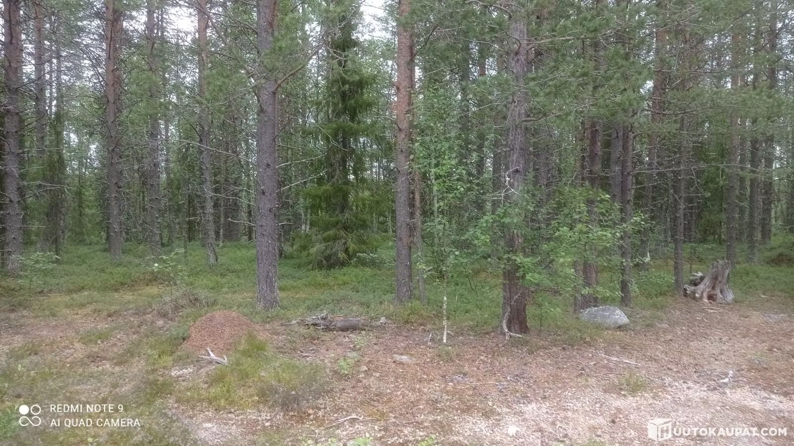 Image 5/8