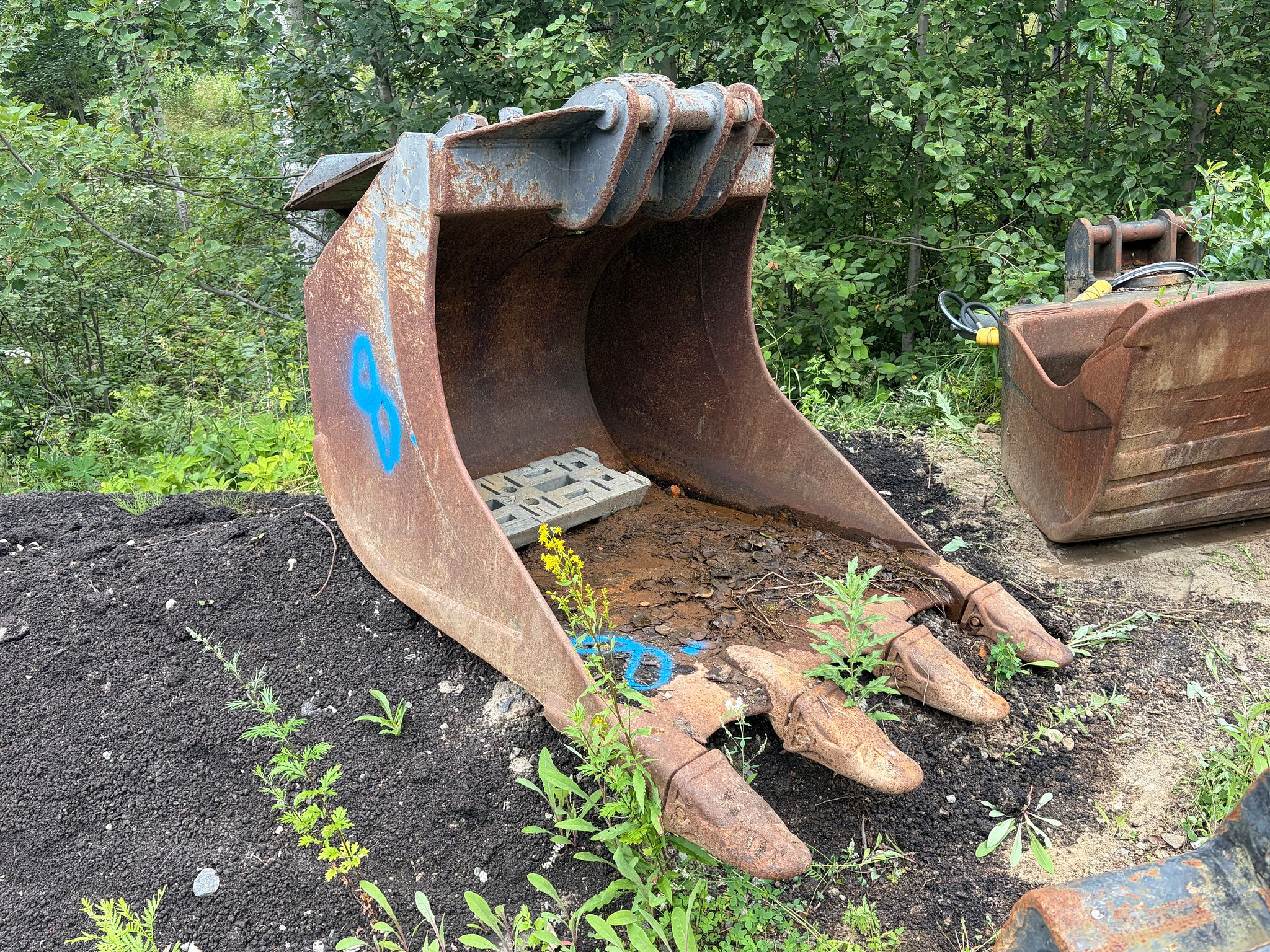 Image 1/7