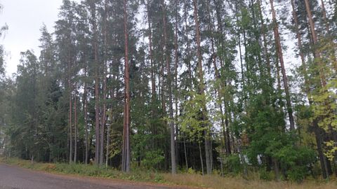 Image 5/11