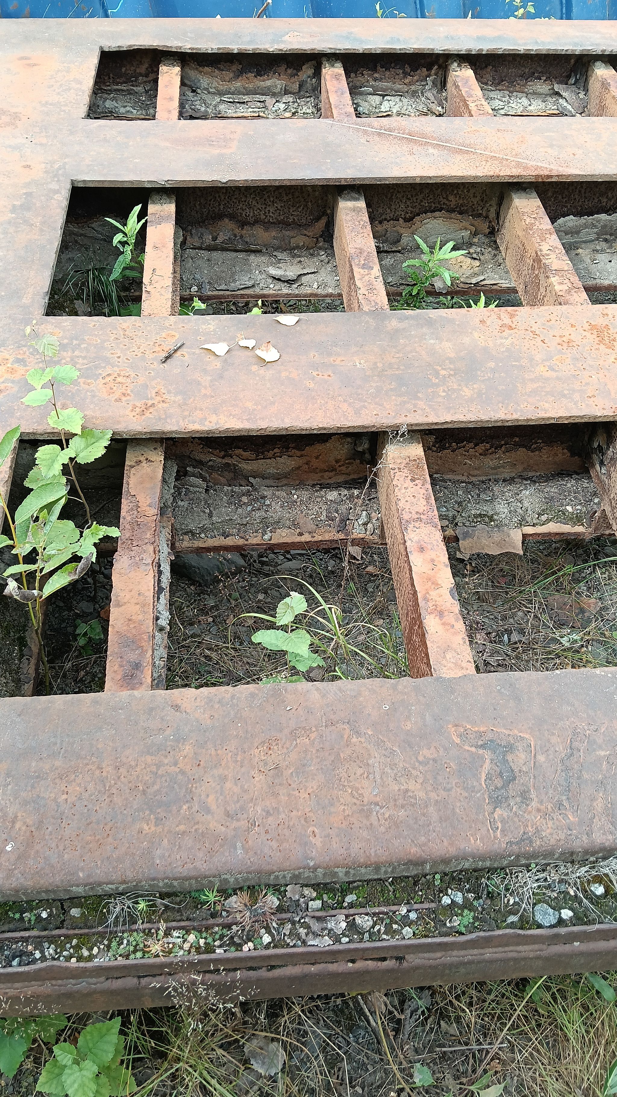 Image 3/8