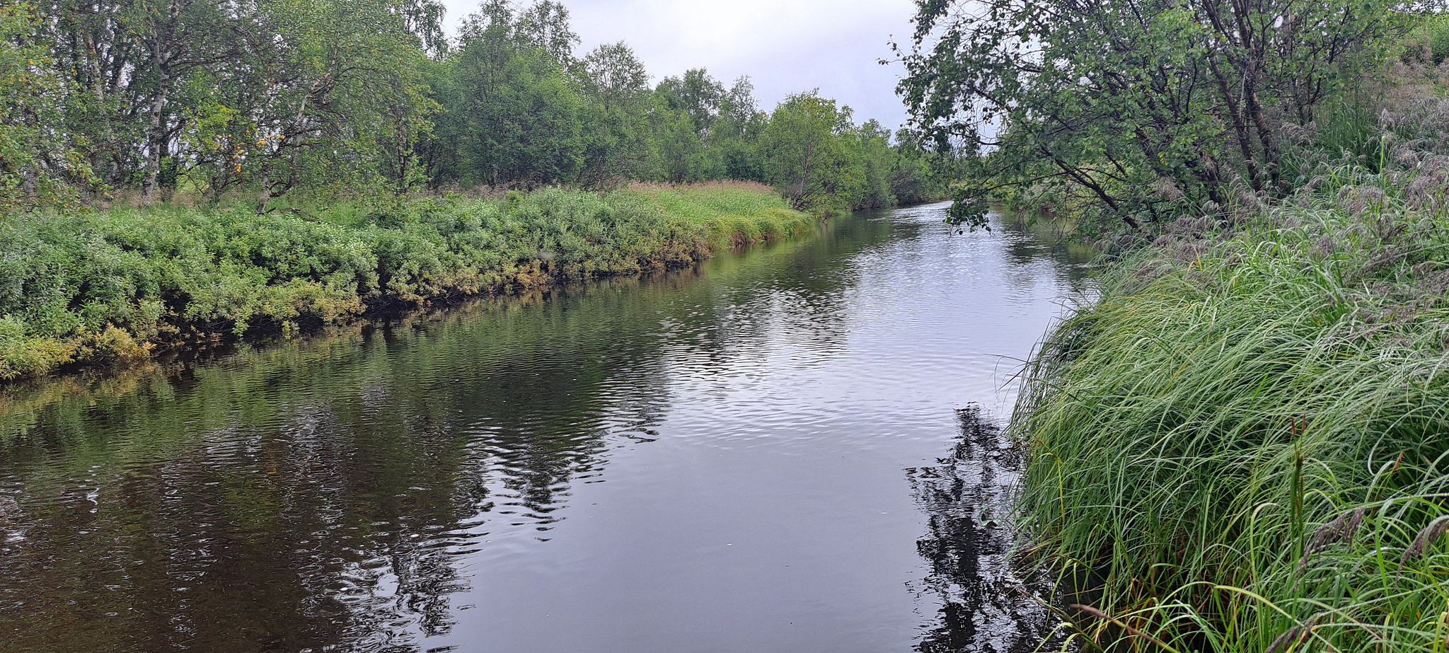 Image 14/18