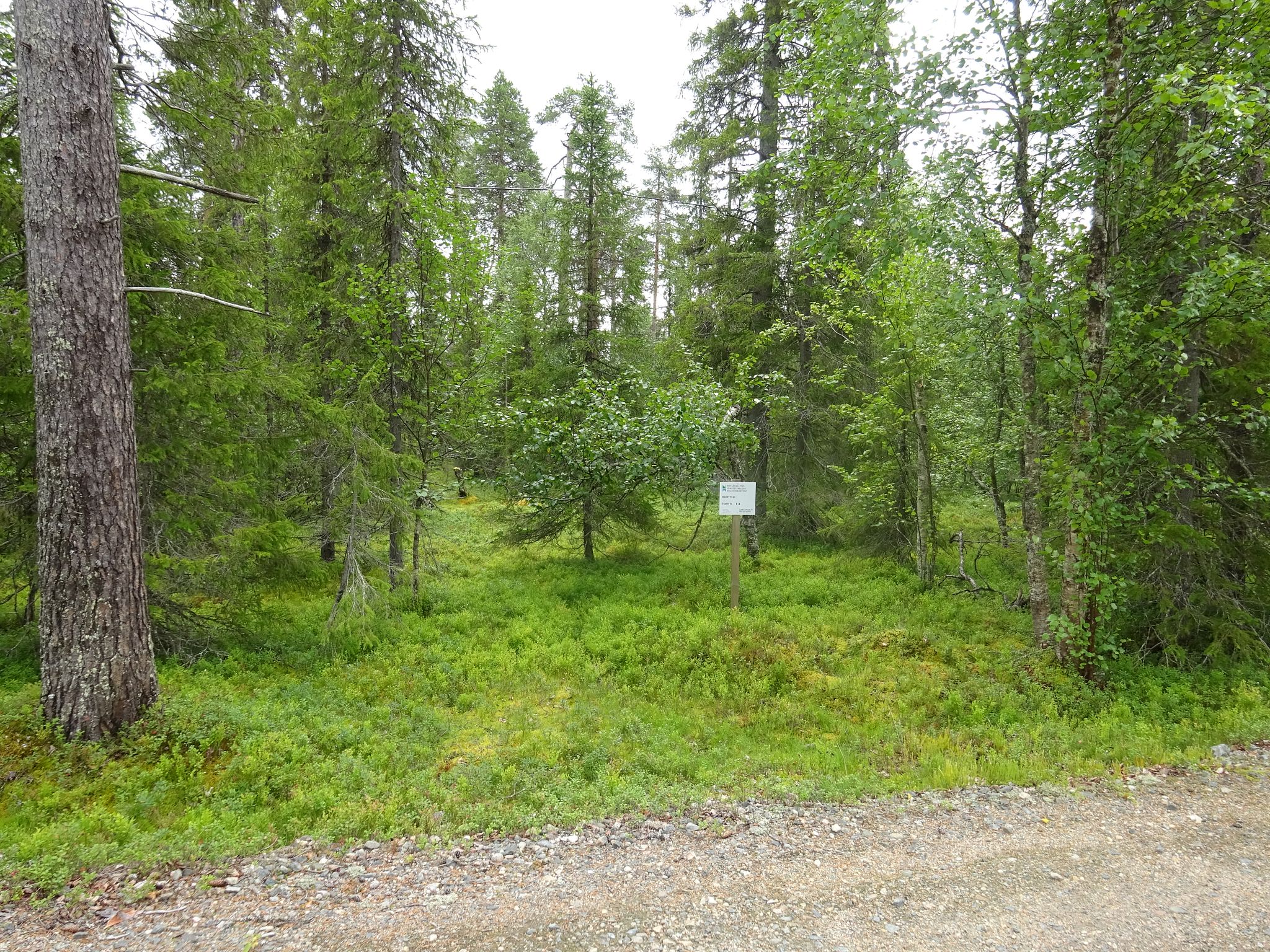 Image 2/11