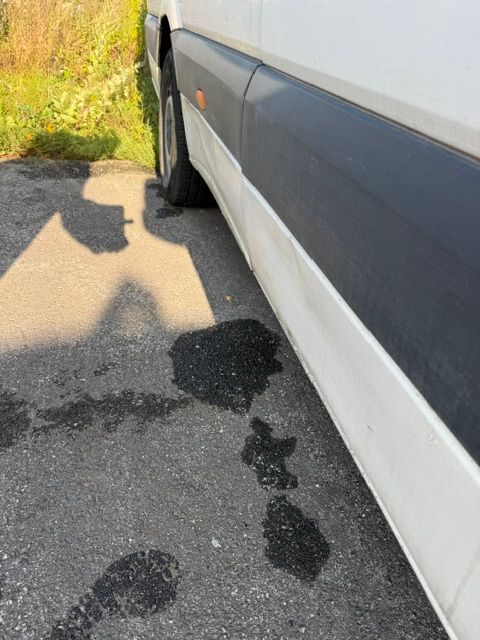 Image 9/10
