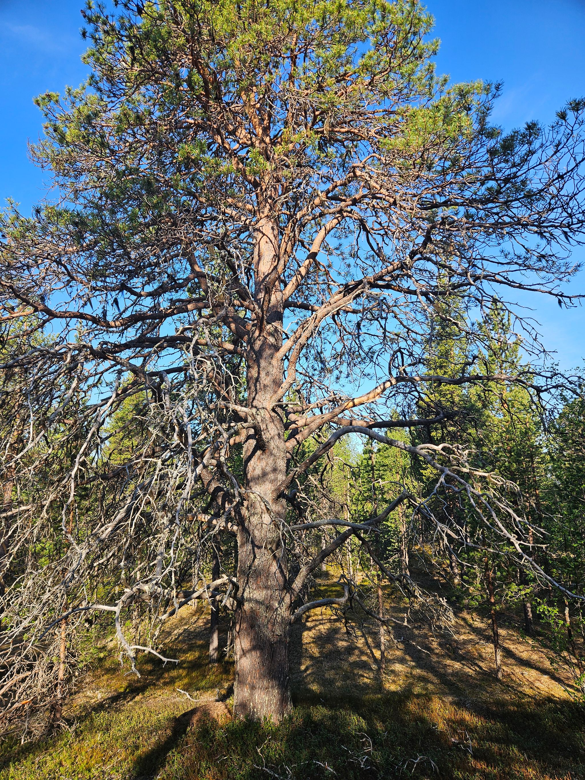Image 11/13