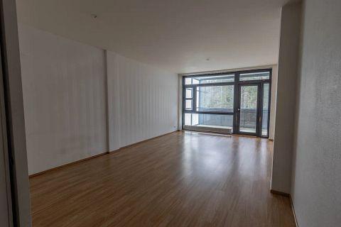 Image 3/11