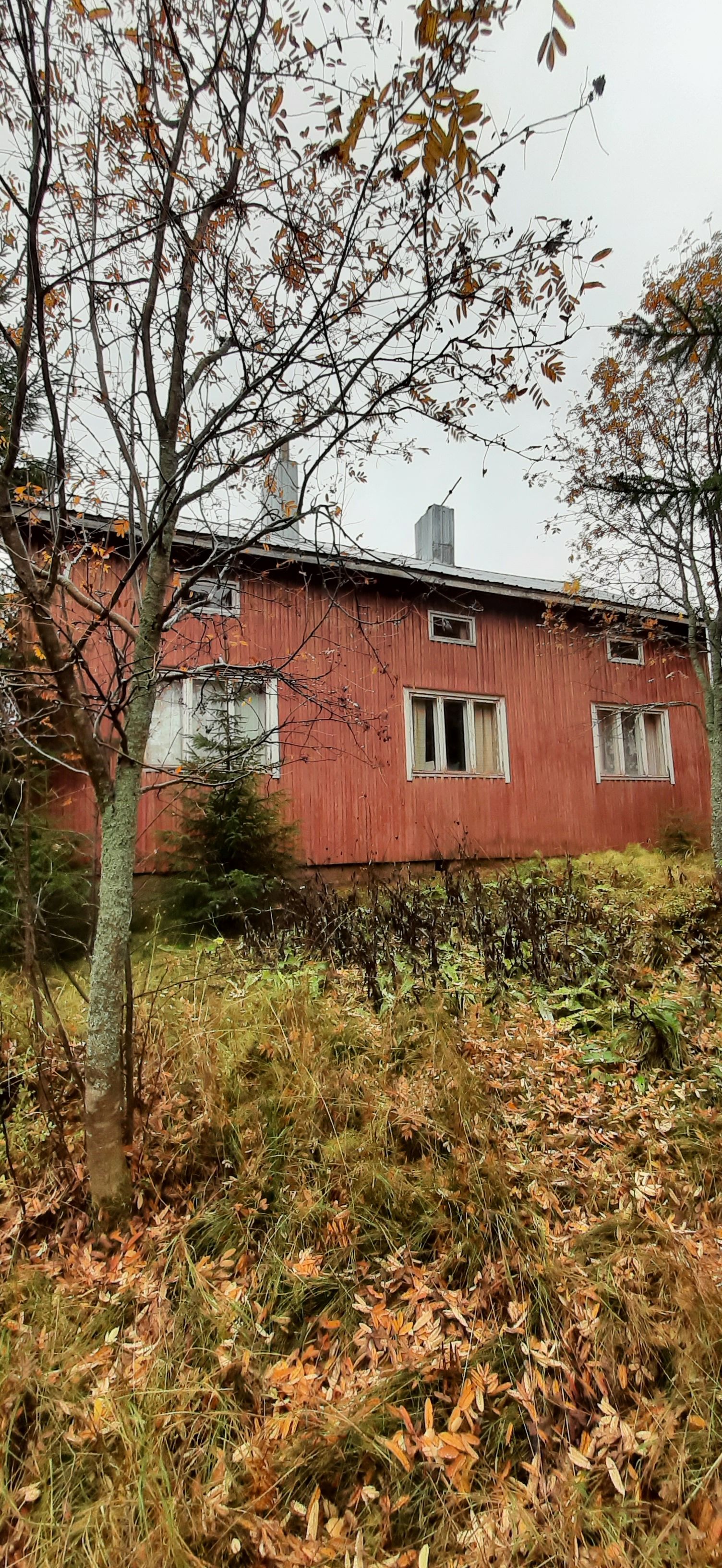 Image 3/46