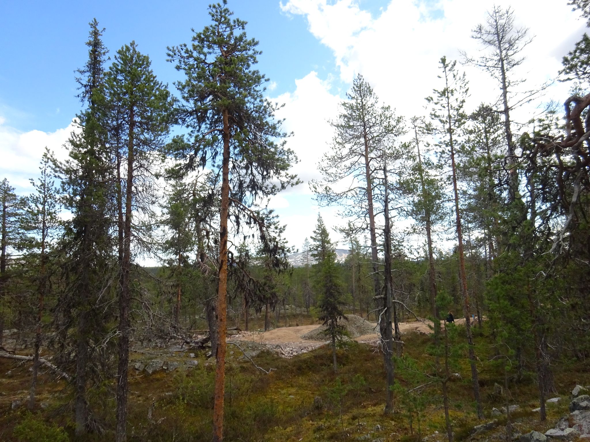 Image 9/17