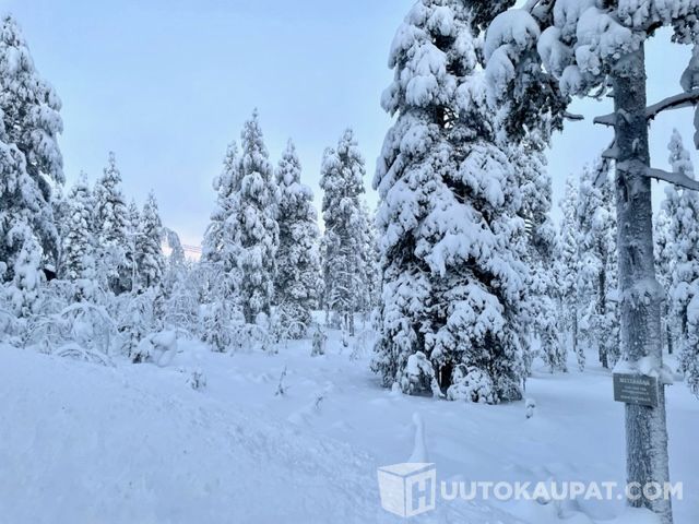 Kohde on poistunut myynnistä. 