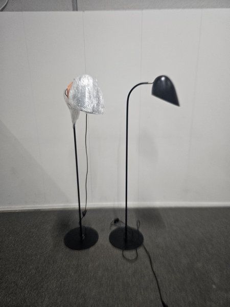 Image 12/15