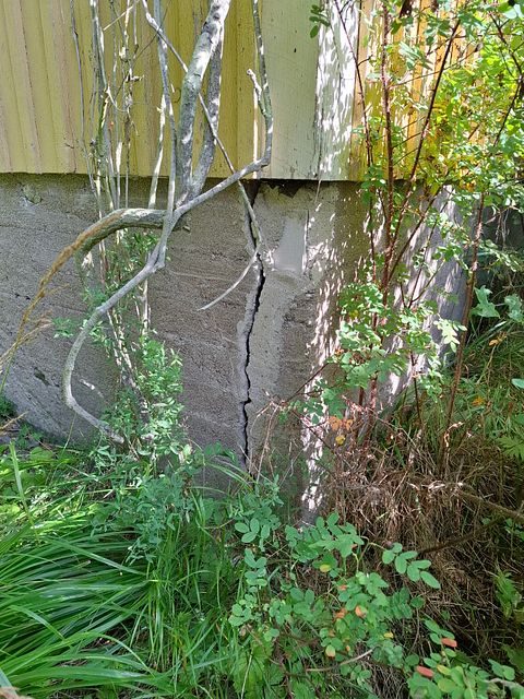 Image 110/142