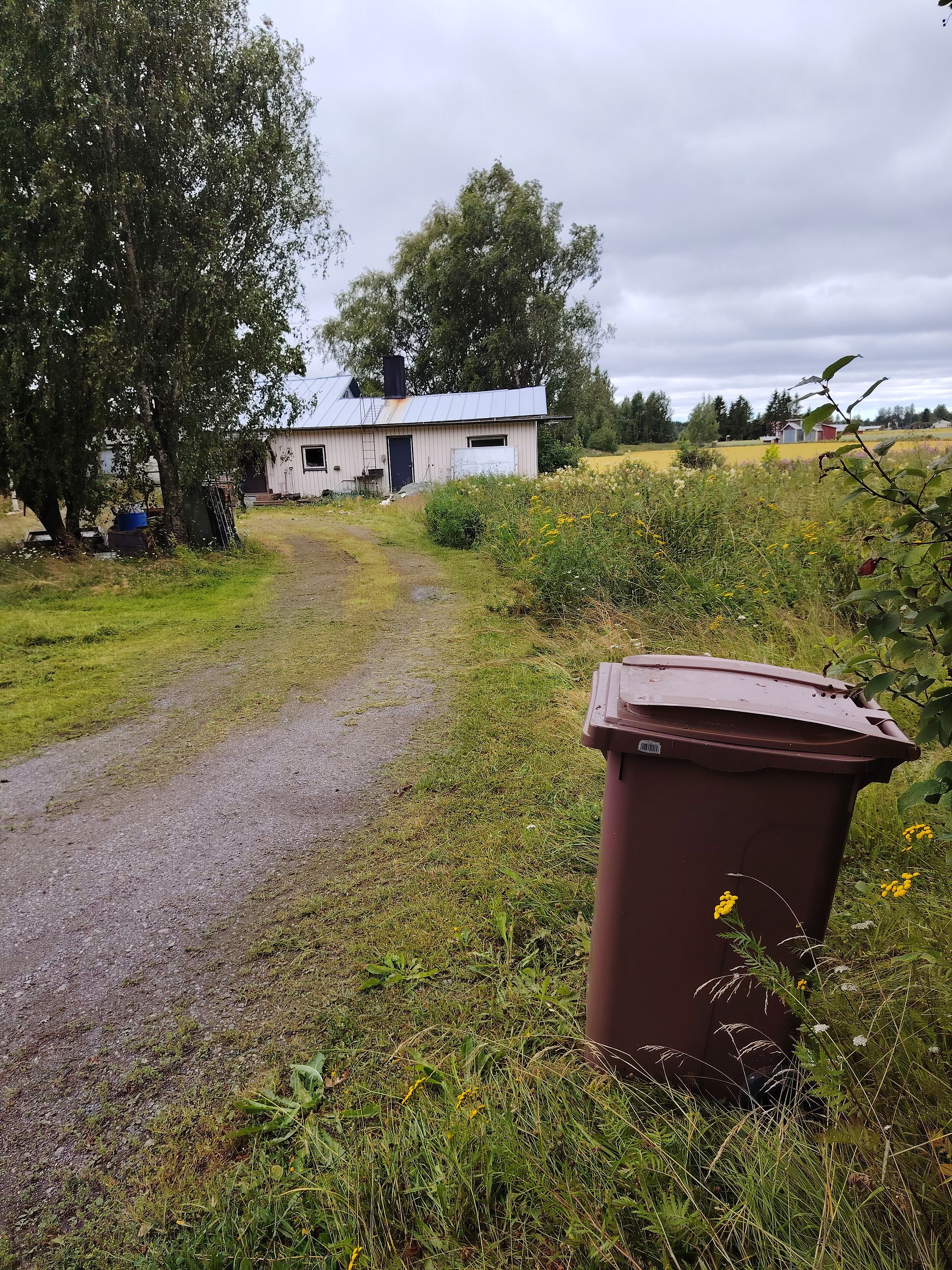 Image 49/61