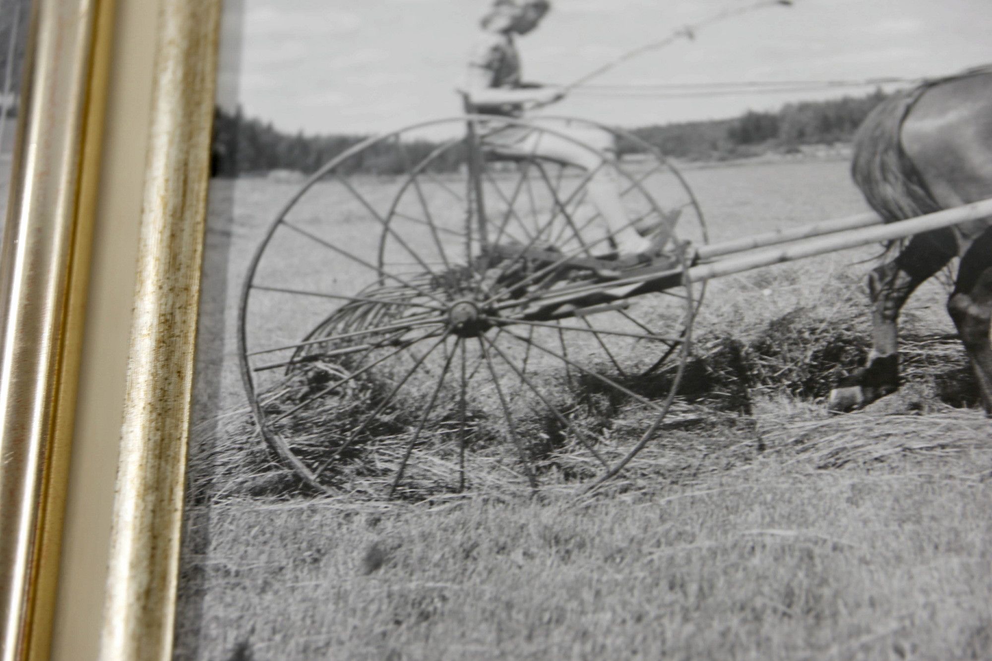 Image 19/30