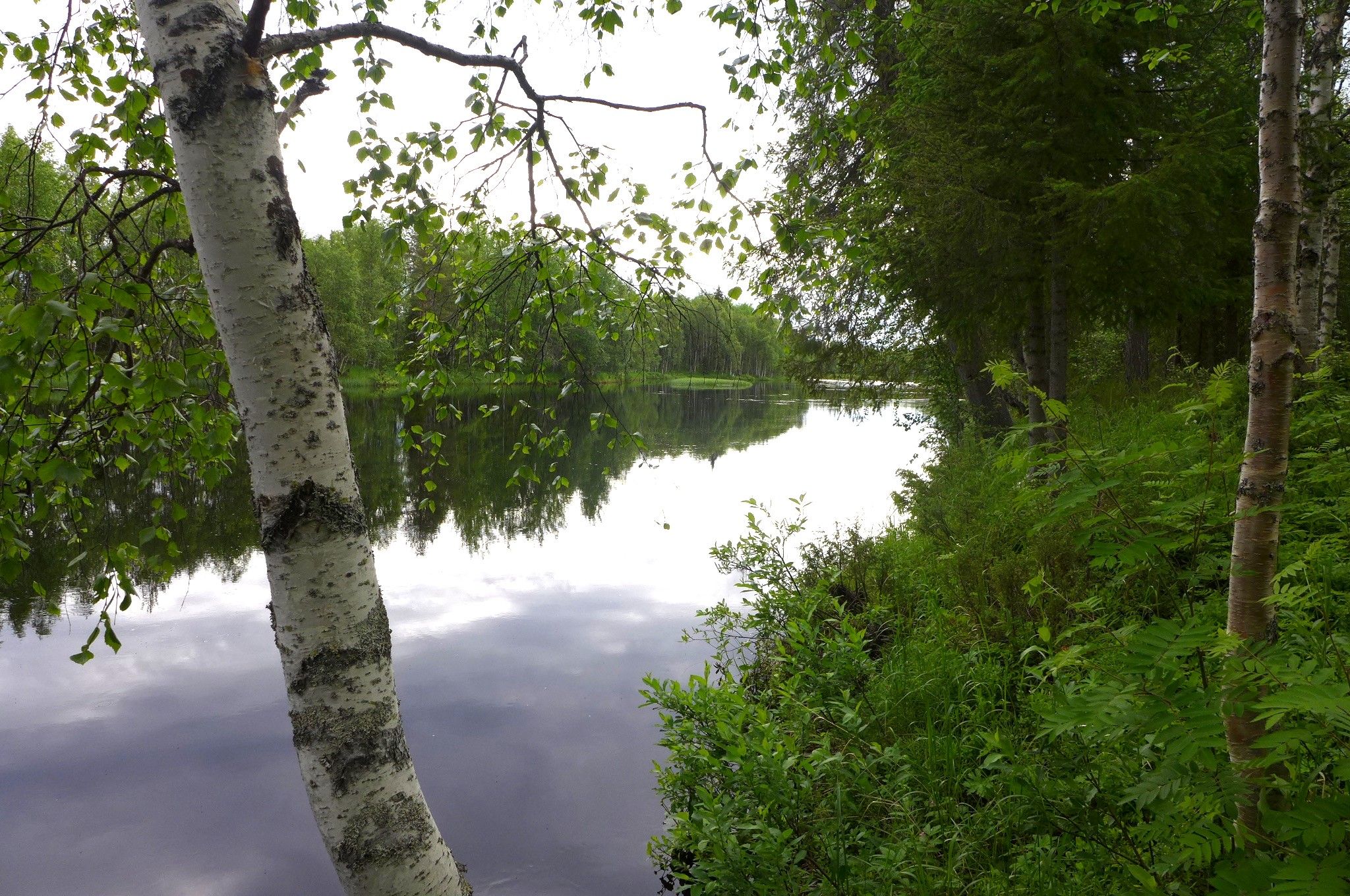 Image 43/51