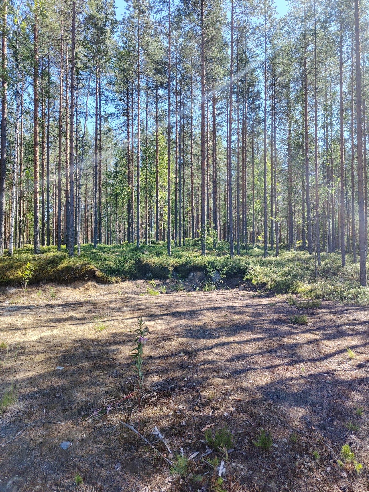 Image 3/7