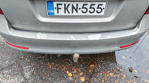 Image 9/33