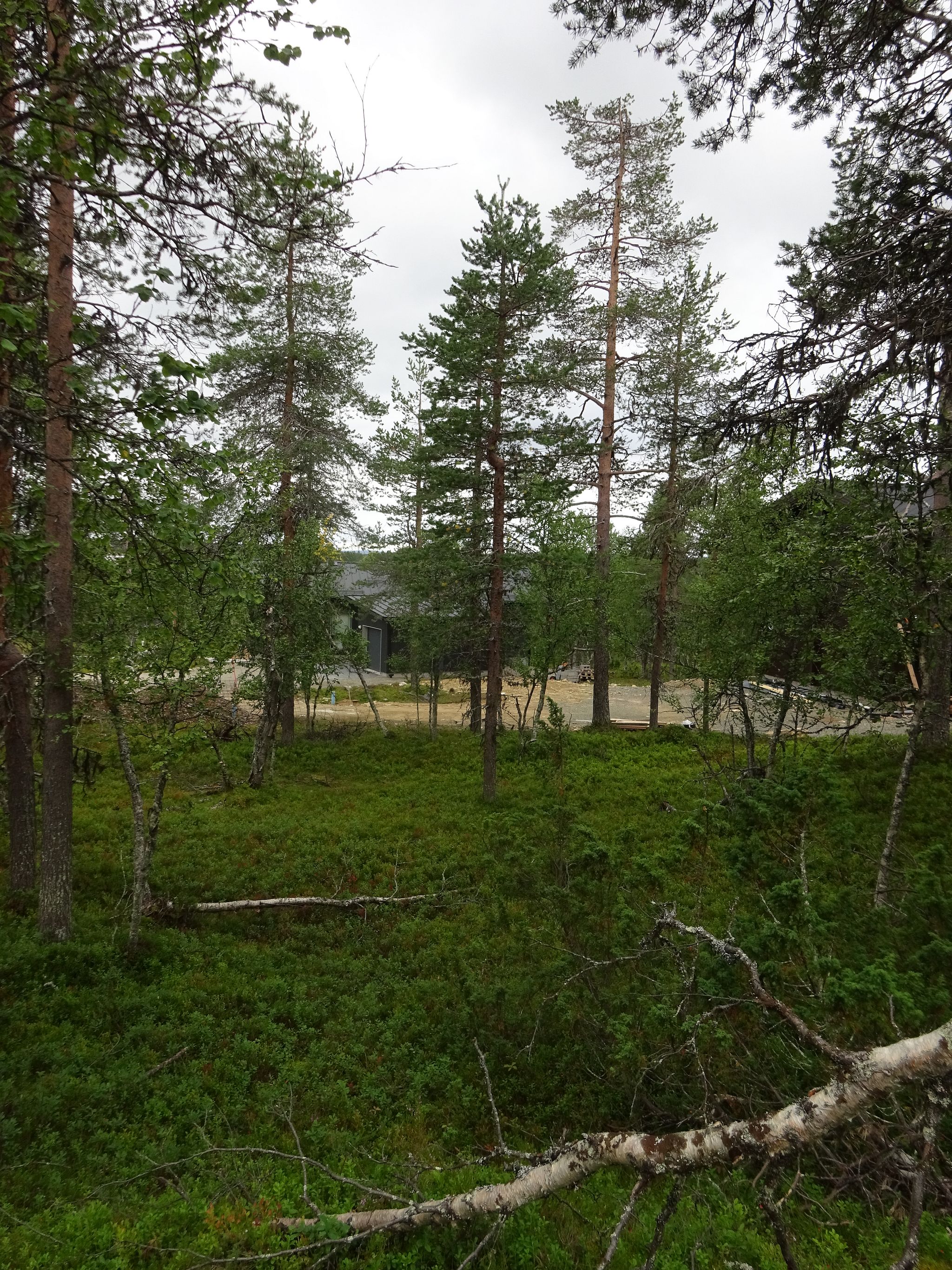 Image 5/9