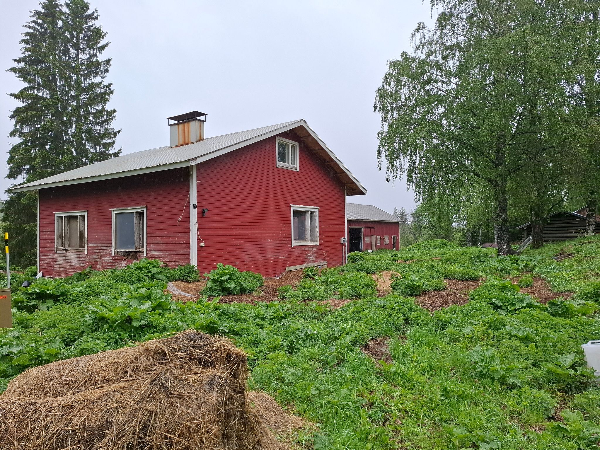 Image 6/40