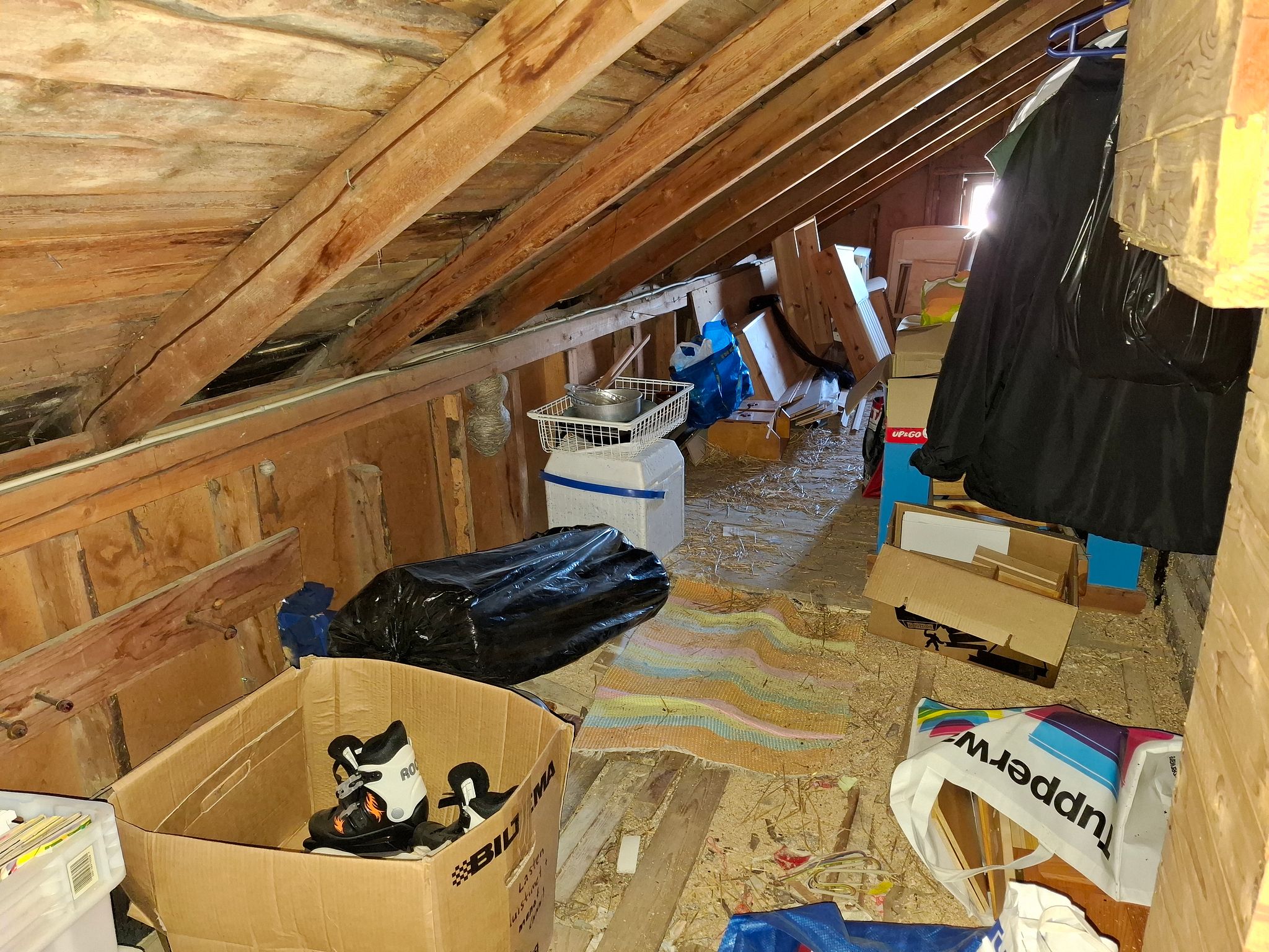 Image 6/25