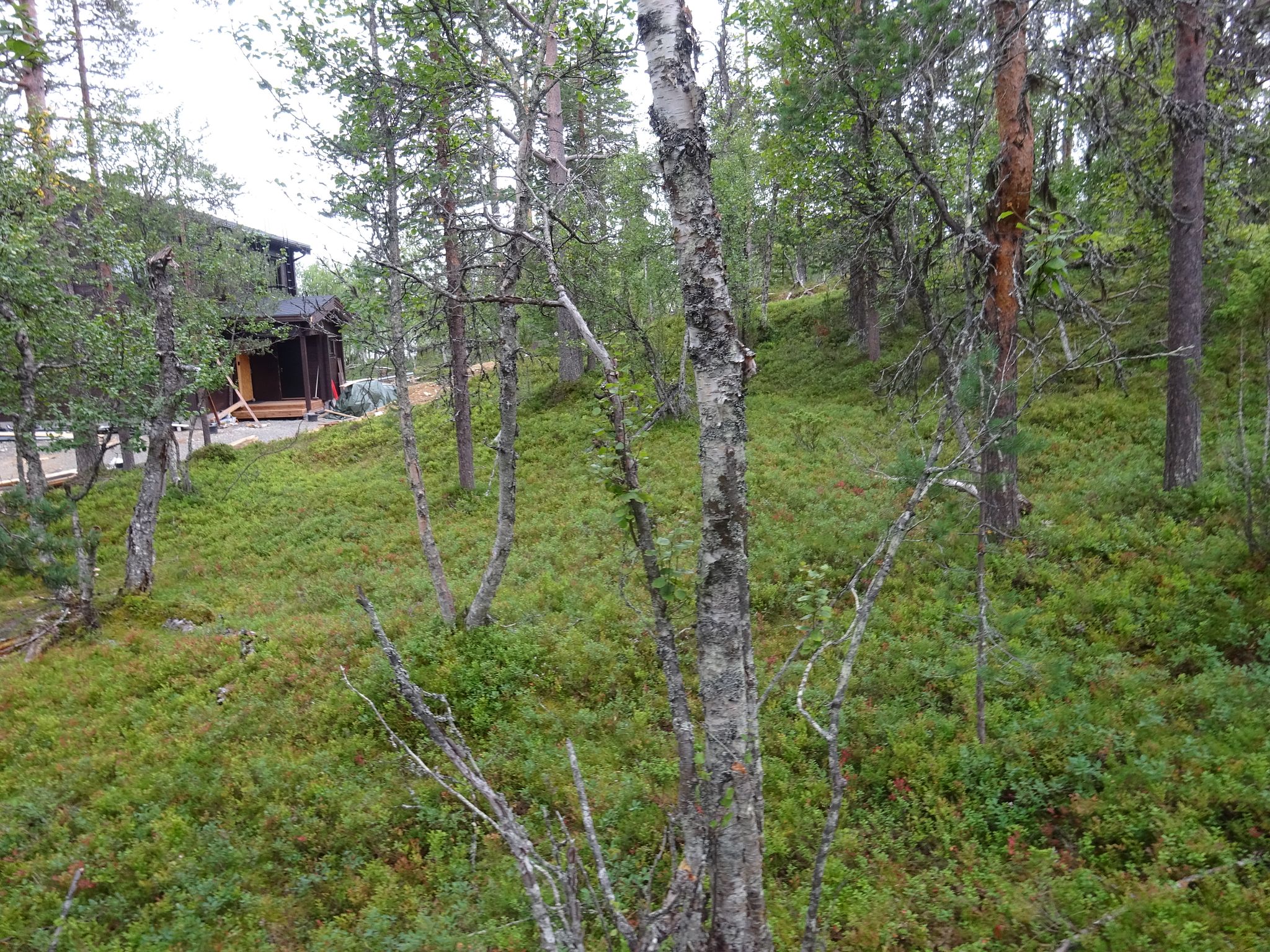Image 7/9