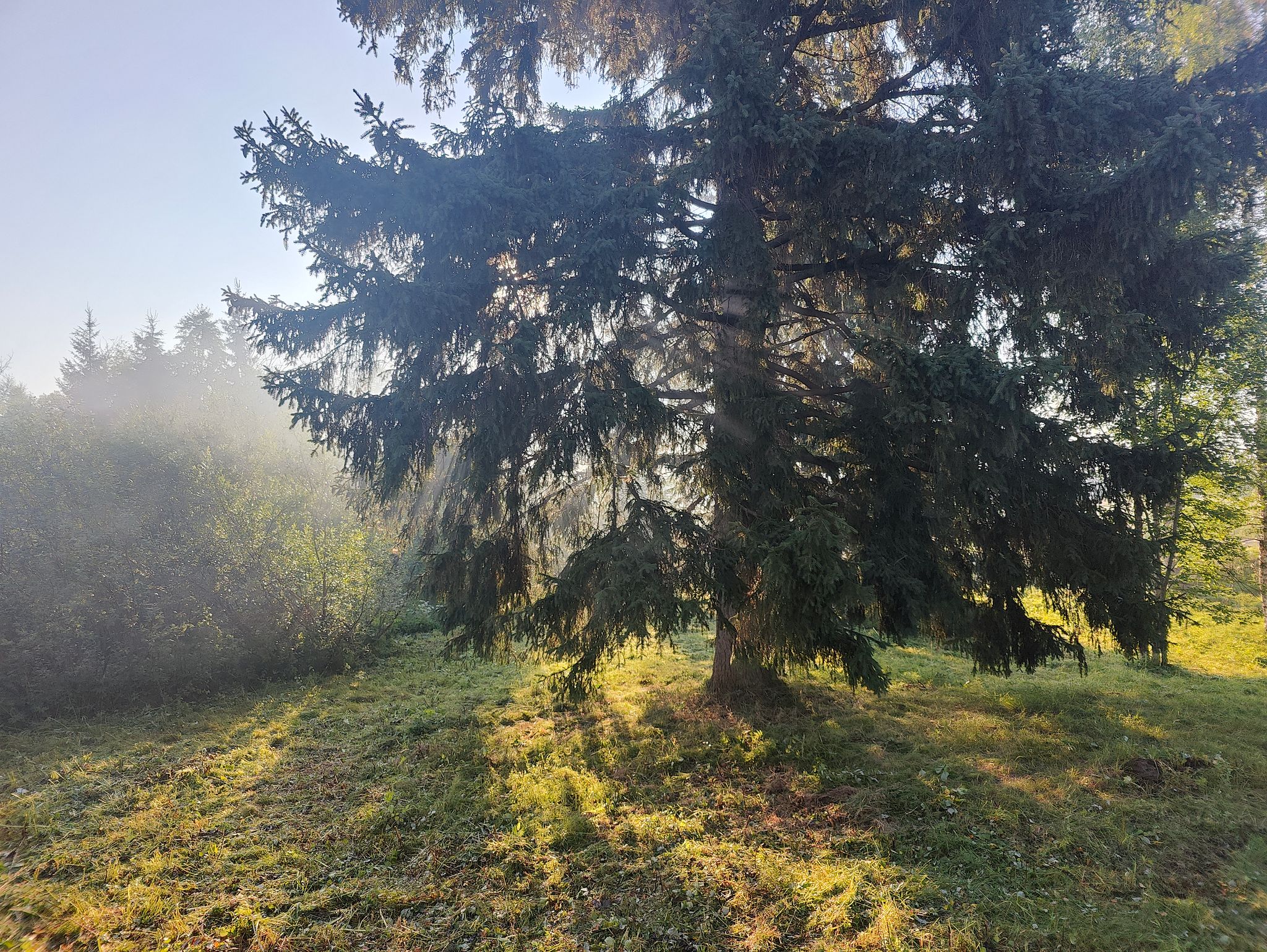 Image 5/30