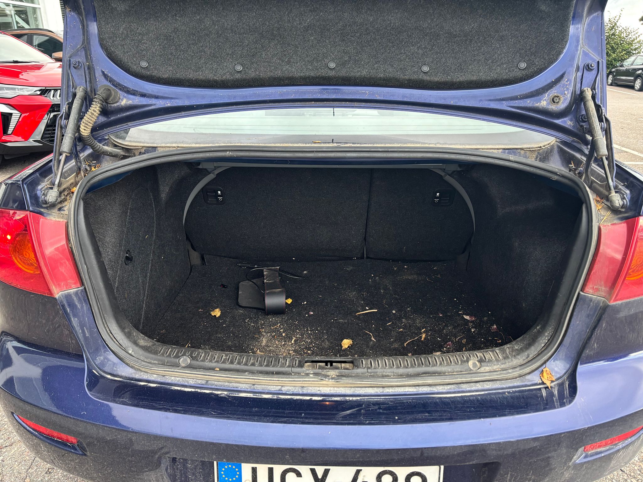 Image 12/31