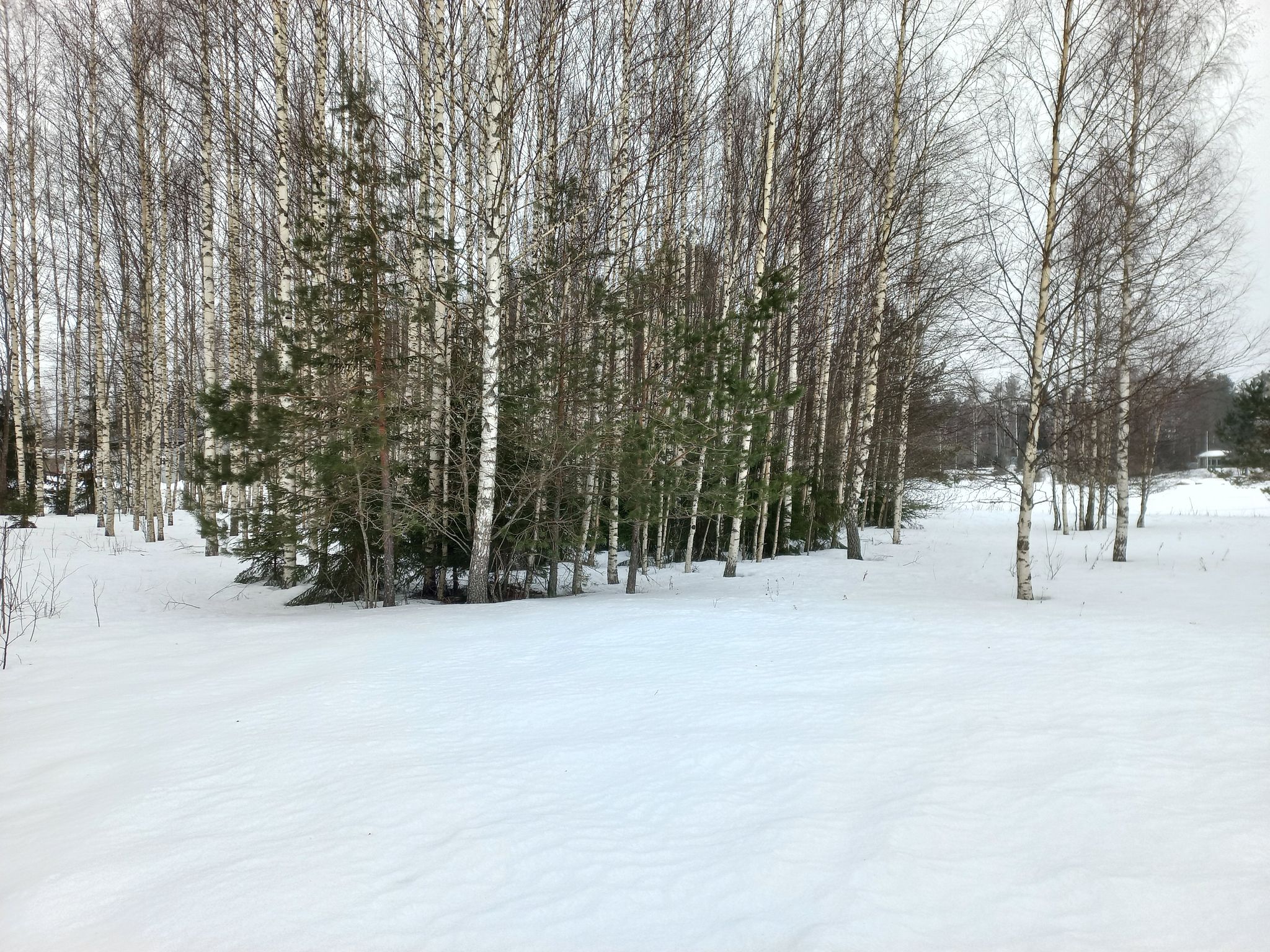 Image 30/57