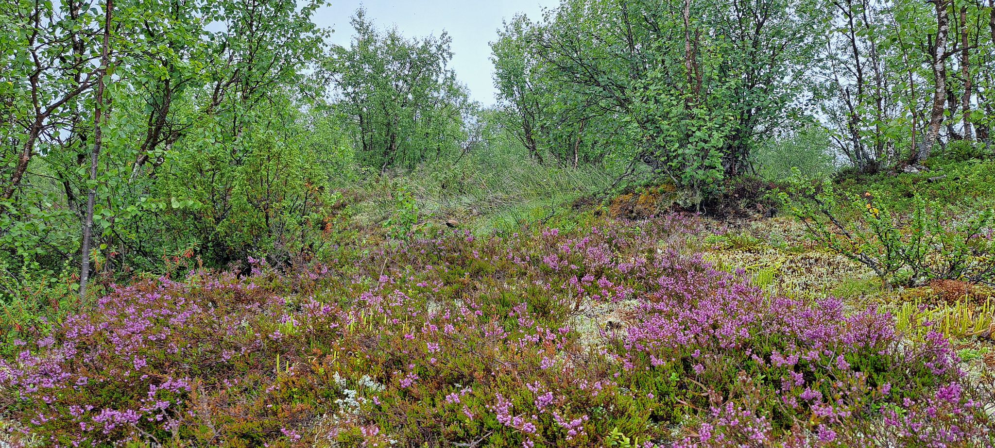 Image 6/18