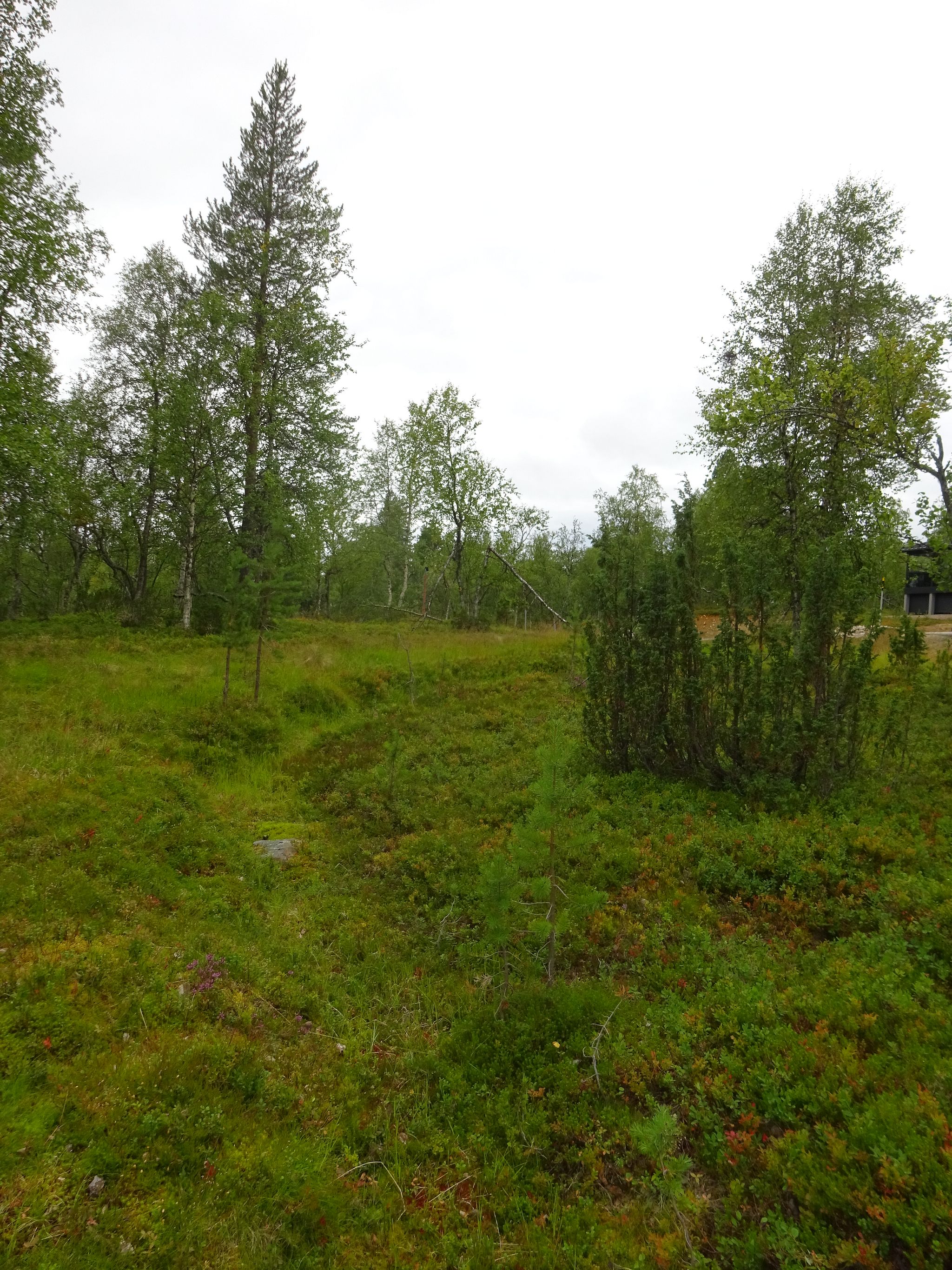Image 9/9