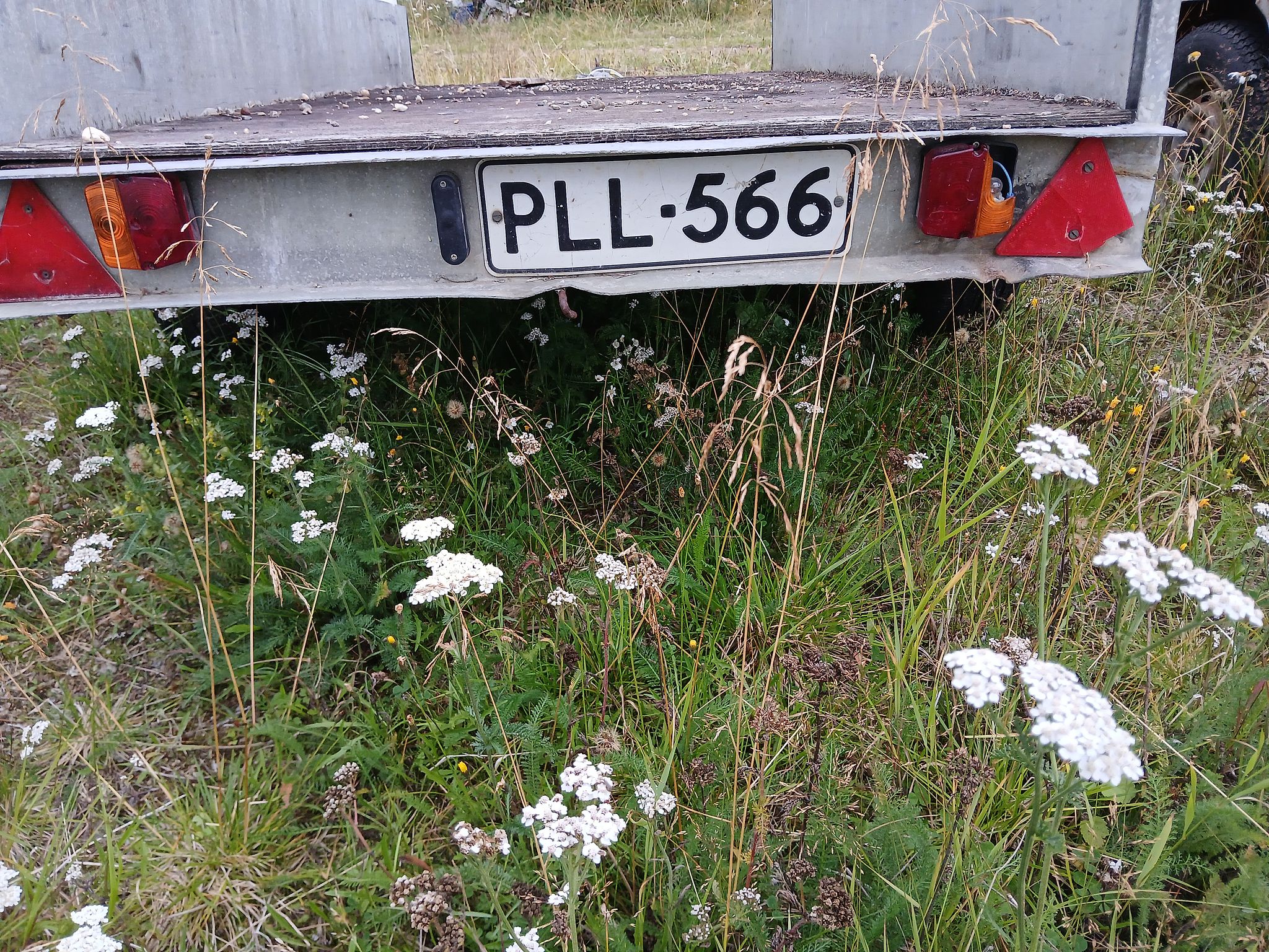 Image 4/4