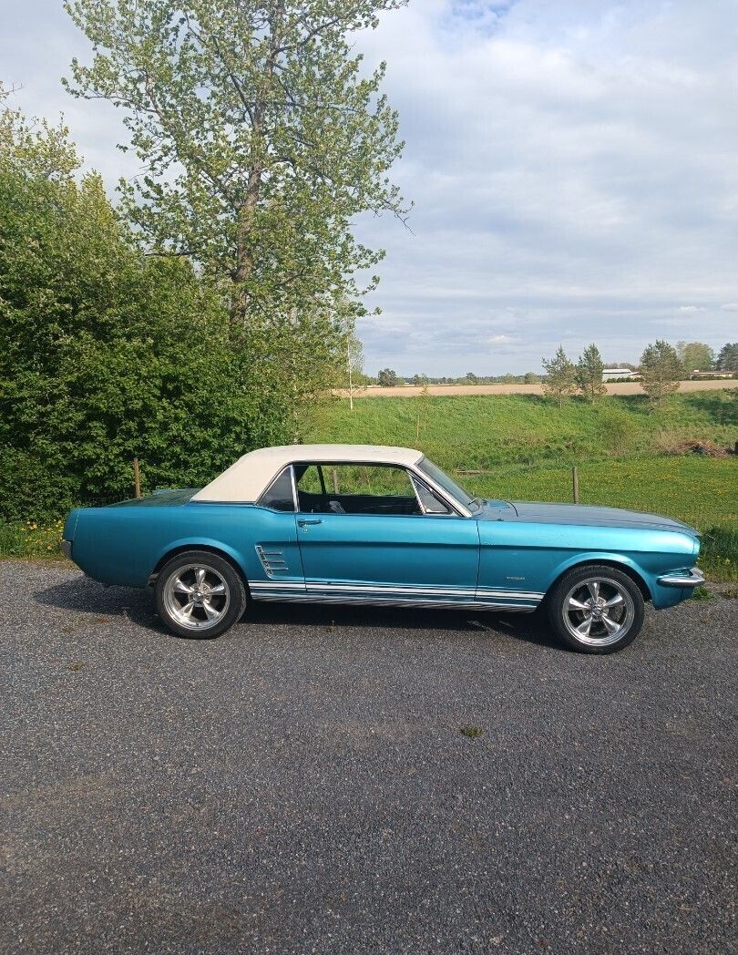 Image 1/12
