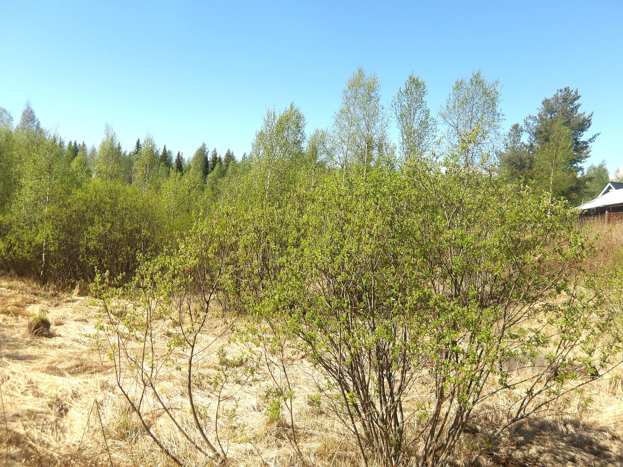 Image 4/5