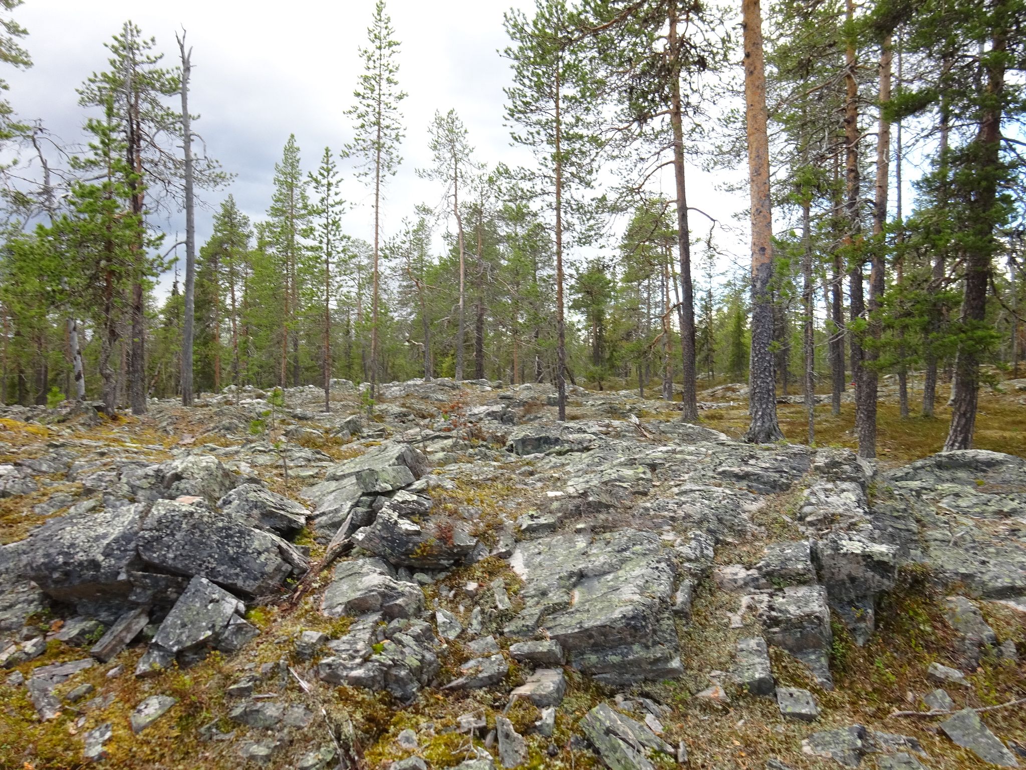 Image 5/17