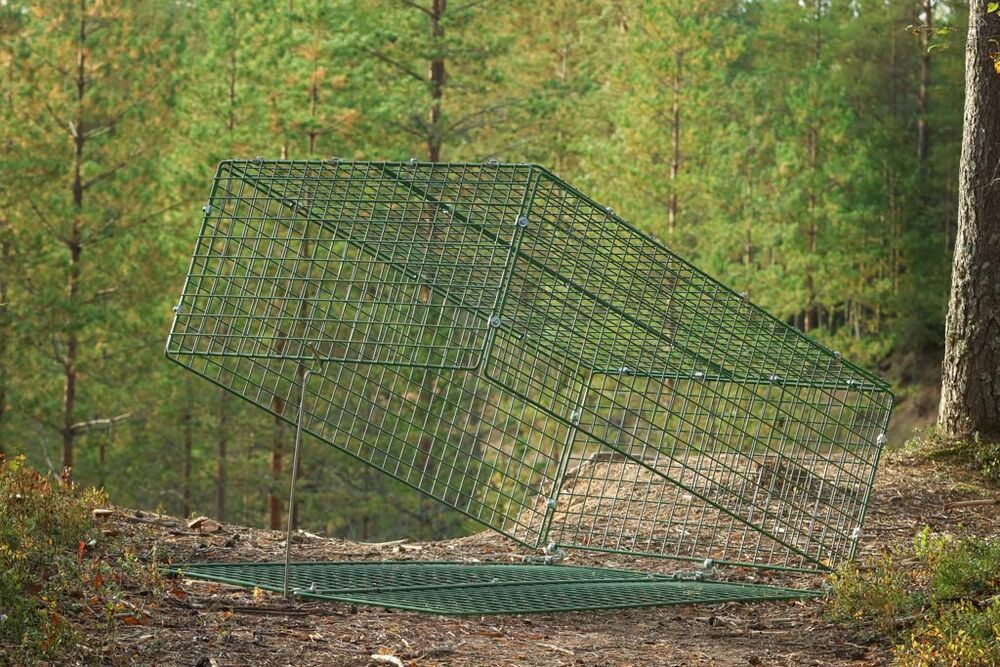 Image 3/3