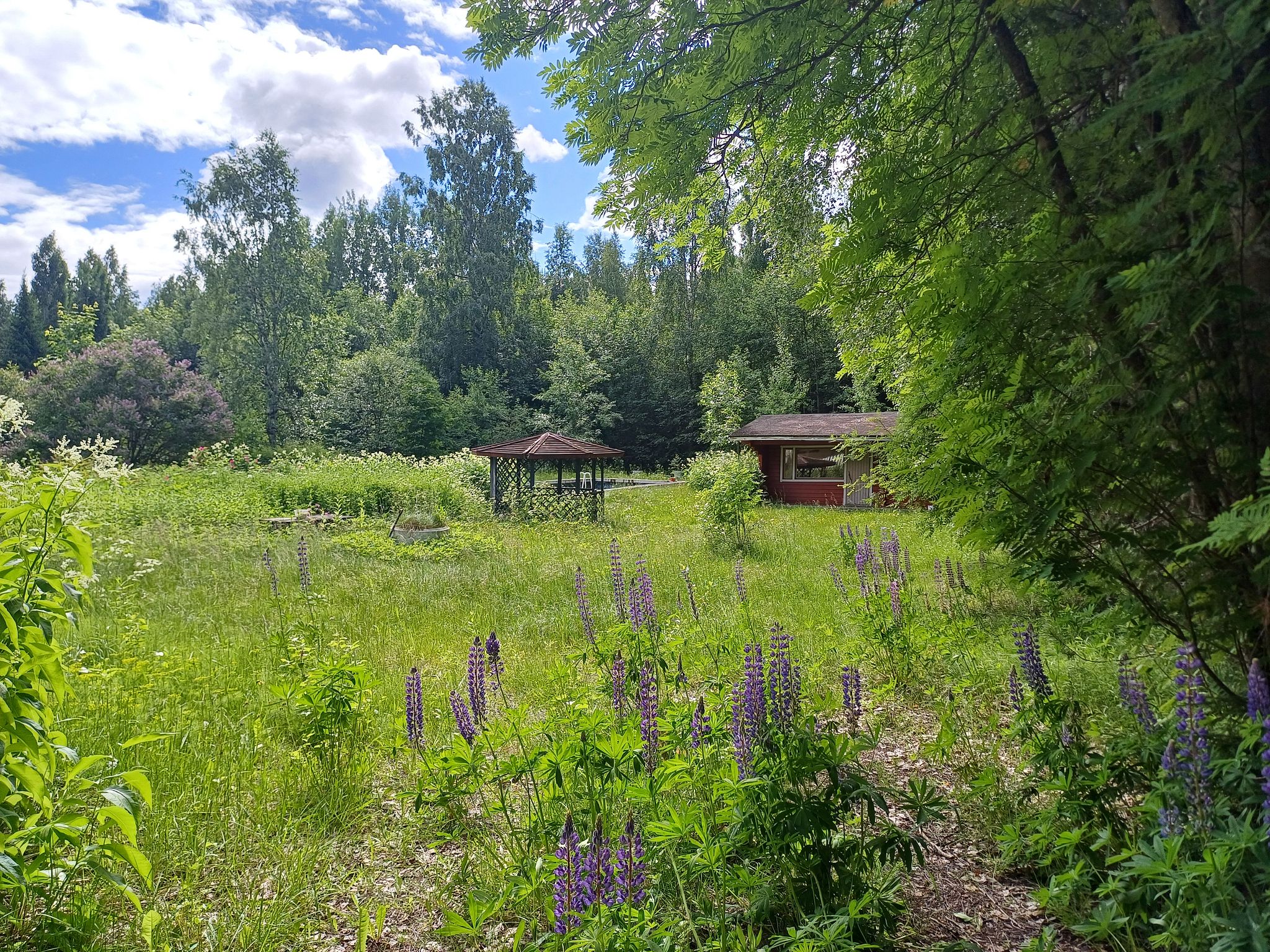 Image 9/45