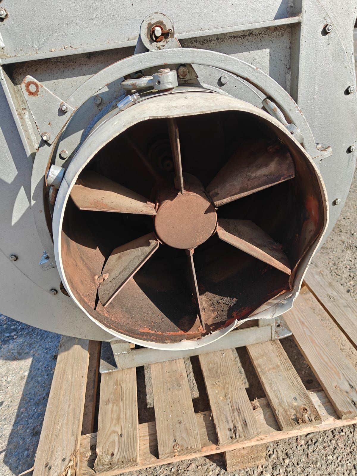 Image 2/8